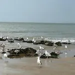 Beachside Break In 公寓 克诺克－海斯特