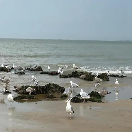 Beachside Break In Apartamento Knokke-Heist