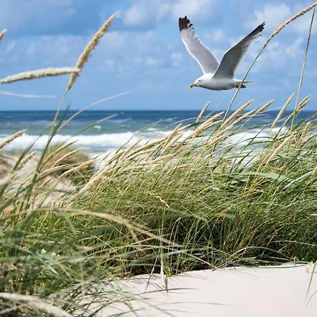 Beachside Break In Knokke-Heist