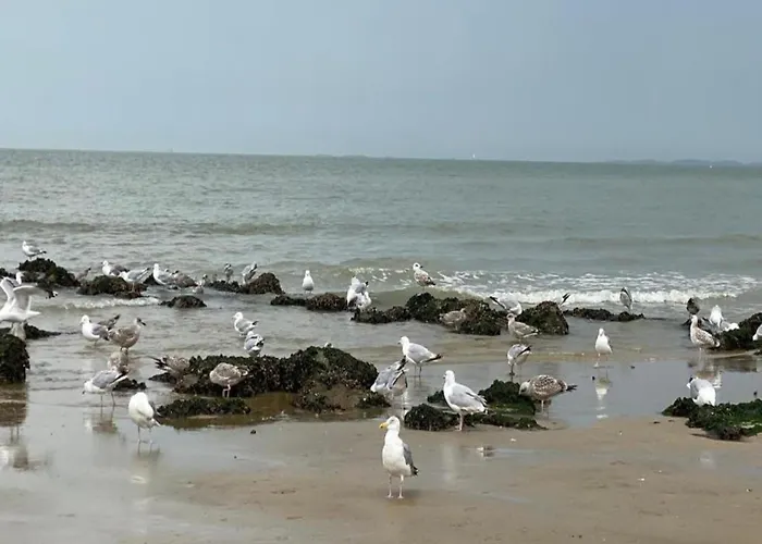 Beachside Break In 아파트 크노케-하이스트