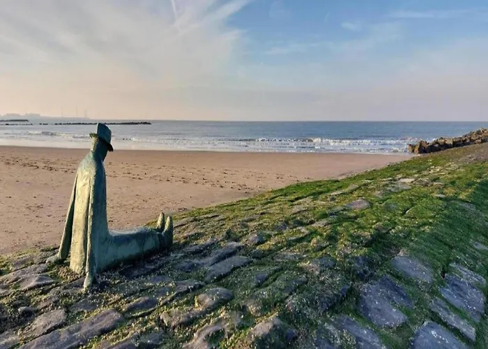 Beachside Break In * 크노케-하이스트