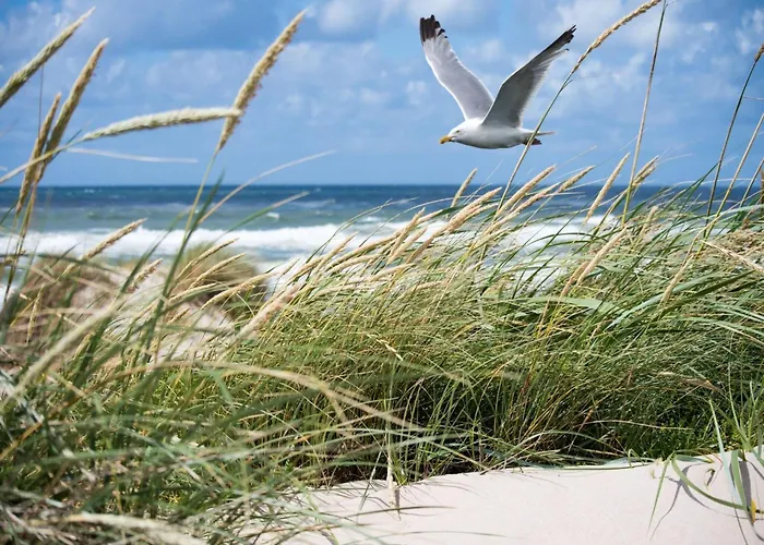 Beachside Break In 크노케-하이스트